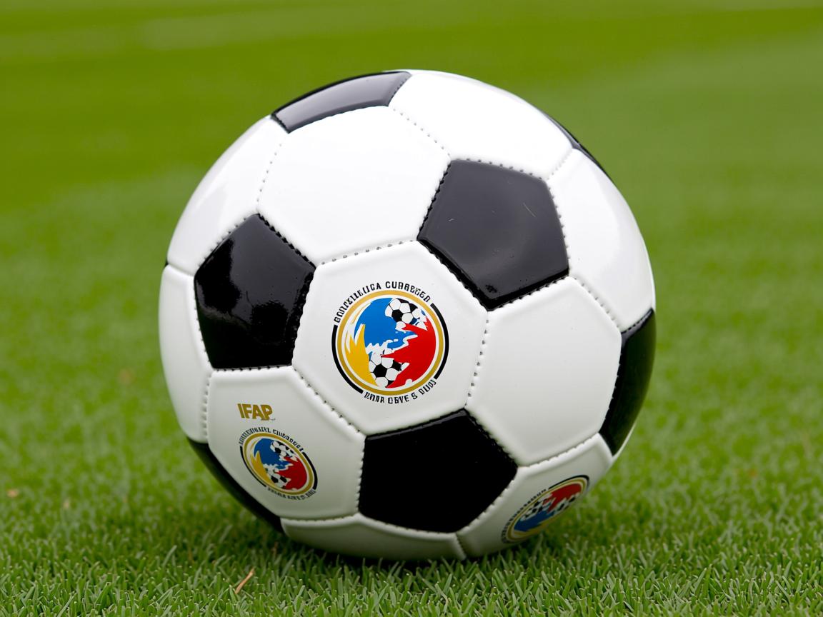 开云在线入口-亚洲杯国足战平 球迷理性分析比赛,亚洲杯中国足球队最新战况 第3张